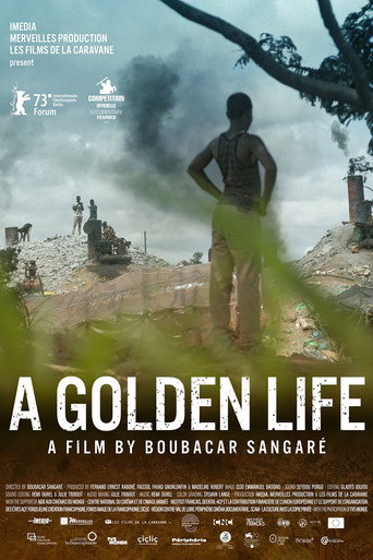 A Golden Life movie poster