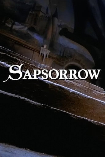 The Storyteller: Sapsorrow movie poster