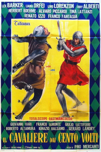Knight of 100 Faces movie poster
