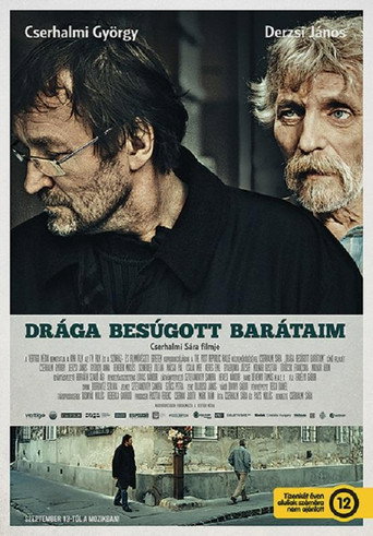 Dear Betrayed Friends movie poster