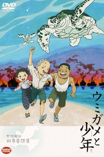 The Boy and the Sea Turtle movie poster