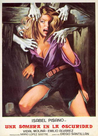 Una sombra en la oscuridad movie poster