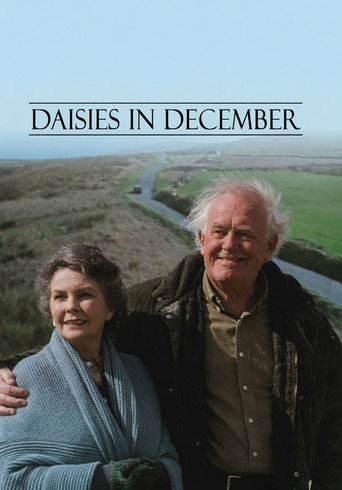 Daisies in December movie poster