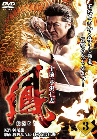 Ootori 3 movie poster