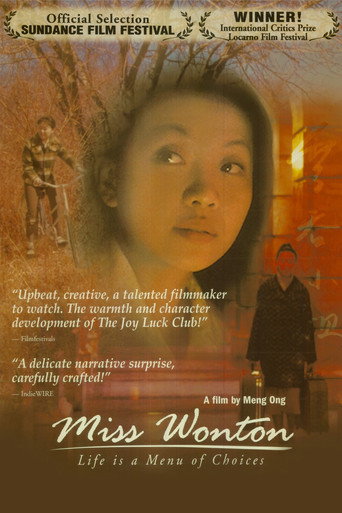 Miss Wonton movie poster