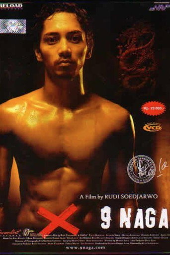 The Nine Dragon movie poster