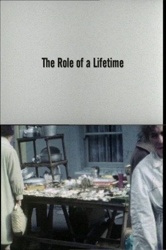The Role of a Lifetime movie poster