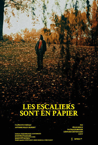 Les escaliers sont en papier movie poster