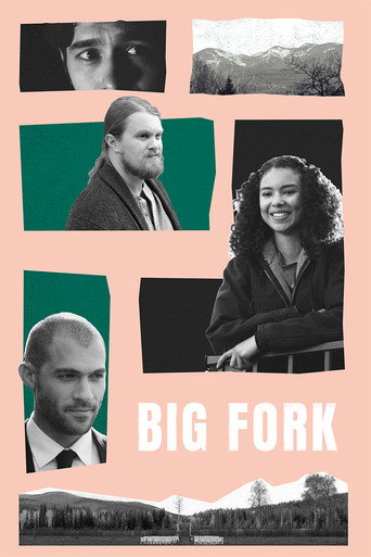 Big Fork movie poster
