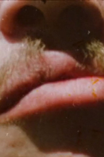 Invocations of Canyons and Boulders (for Stan Brakhage) movie poster