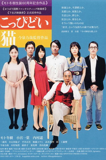 I Catch a Terrible Cat movie poster