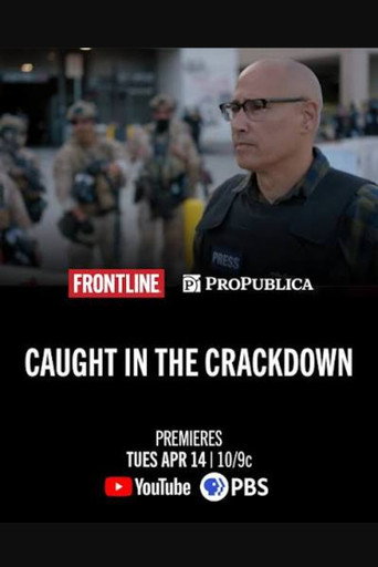 Caught in the Crackdown movie poster