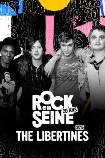 The Libertines - Rock en Seine 2015 movie poster