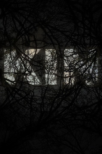 KIN movie poster