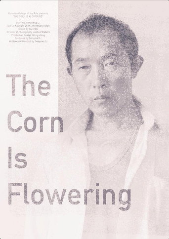The Corn is Flowering movie poster