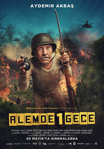 Alemde Bir Gece movie poster