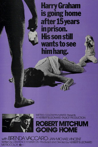 Going Home movie poster