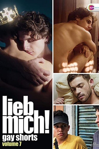 LIEB MICH! - Gay Shorts Volume 7 movie poster