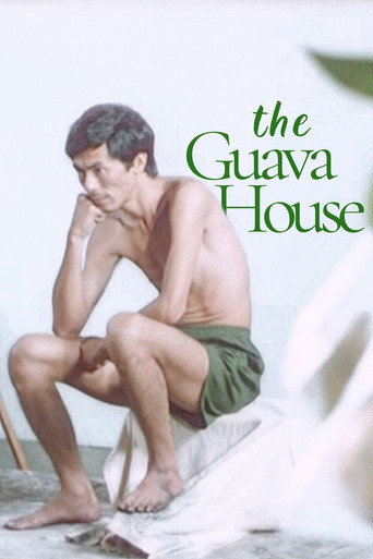 The Guava House movie poster