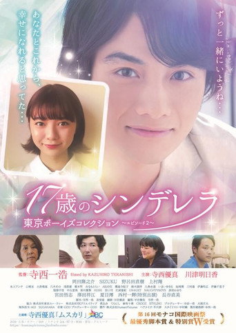 17歳のシンデレラ movie poster