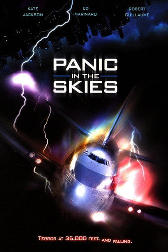 Panic in the Skies! movie poster