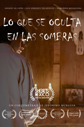 WHAT HIDES WHITIN THE SHADOWS movie poster