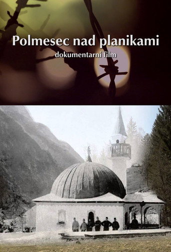 Crescent Over the Edelweiss movie poster