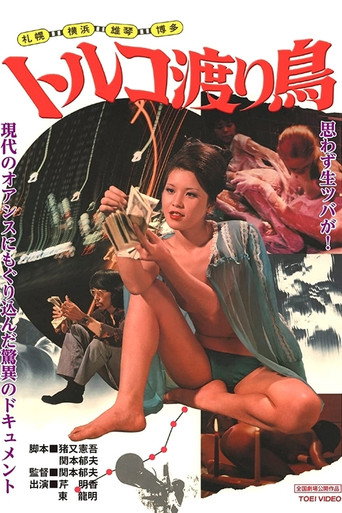 Sapporo, Yokohama, Ogoto, Hakata: Turkish Migratory Birds movie poster