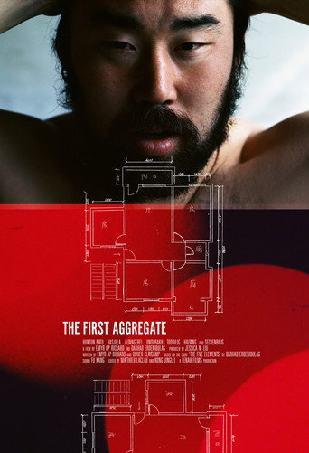 The First Aggregate movie poster
