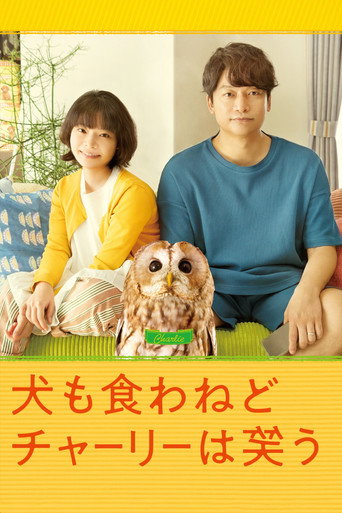 Everything Will Be Owlright! movie poster