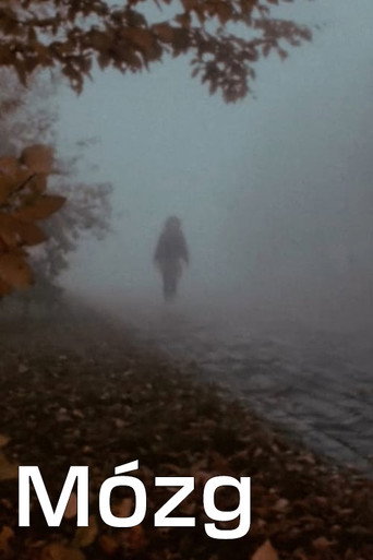 Mózg movie poster