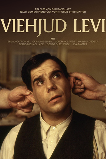 Jew-boy Levi movie poster