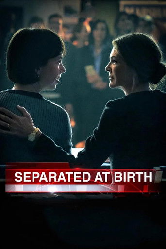 Separated at Birth movie poster