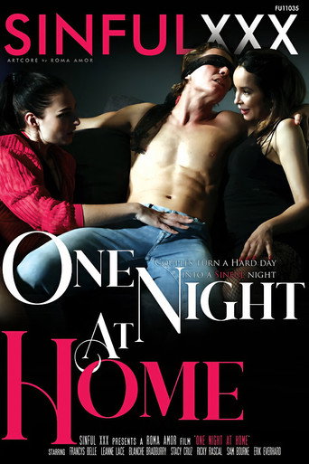 One Night At Home movie poster