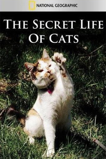 The Secret Life of Cats movie poster