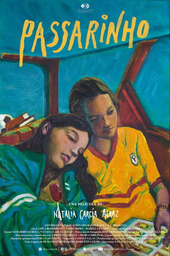 Passarinho movie poster