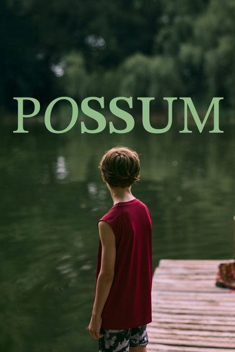 Possum movie poster
