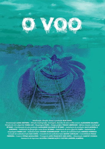 O Voo movie poster