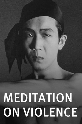 Meditation on Violence movie poster