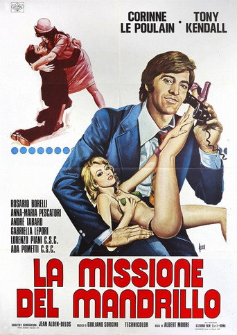 La Missione del Mandrillo movie poster