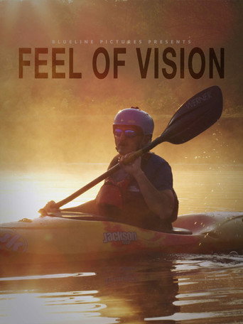 Feel of Vision movie poster