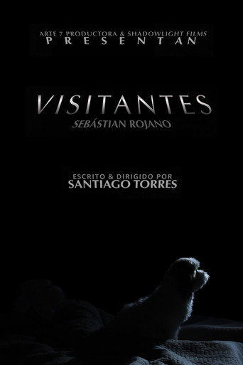 Visitors movie poster