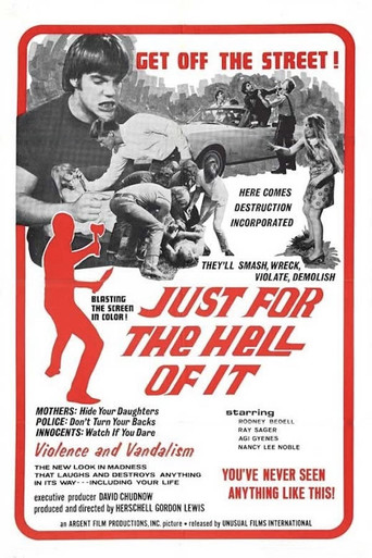 Just for the Hell of It movie poster