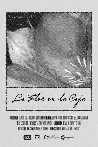 The Flower in the Box movie poster