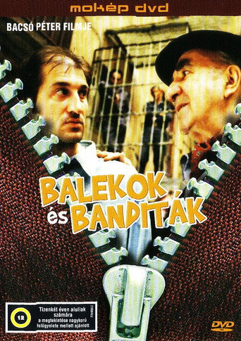 Gulls and Gangsters movie poster