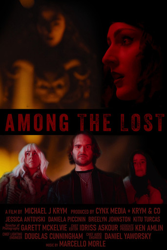 Among the Lost movie poster