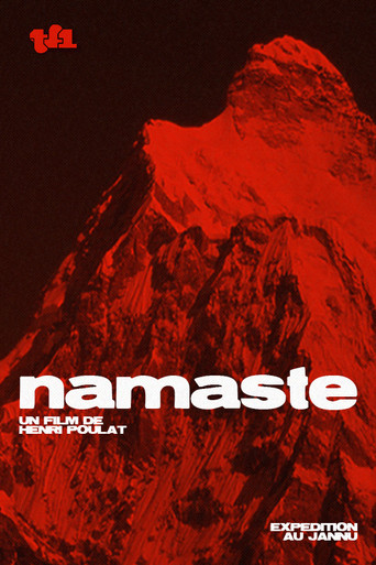 Namaste movie poster
