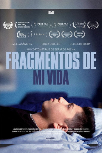 Pieces of my life movie poster