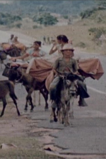 Ciganos do Nordeste movie poster
