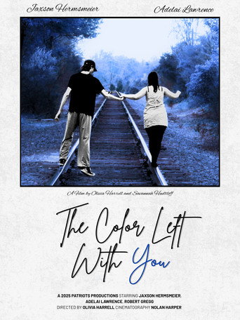 The Color Left With You movie poster